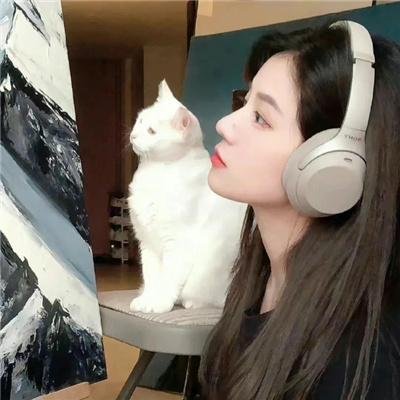 中毒西洋版